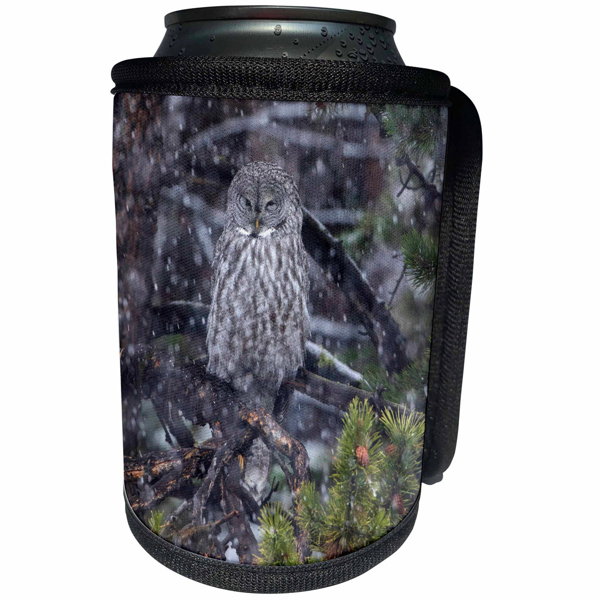 3dRose Danita Delimont - Owls - Great Gray Owl in snowstorm, Yellowstone NP, Wyoming - Can Cooler Bottle Wrap (cc_279842)