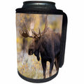 3dRose Danita Delimont - Moose - Moose, Alces alces, bull in fall, Grand Teton National Park, Wyoming - Can Cooler Bottle Wrap (cc_279847)