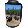 3dRose Danita Delimont - Bison - Bison, Bison bison, Grand Teton National Park, Wyoming - Can Cooler Bottle Wrap (cc_279850)