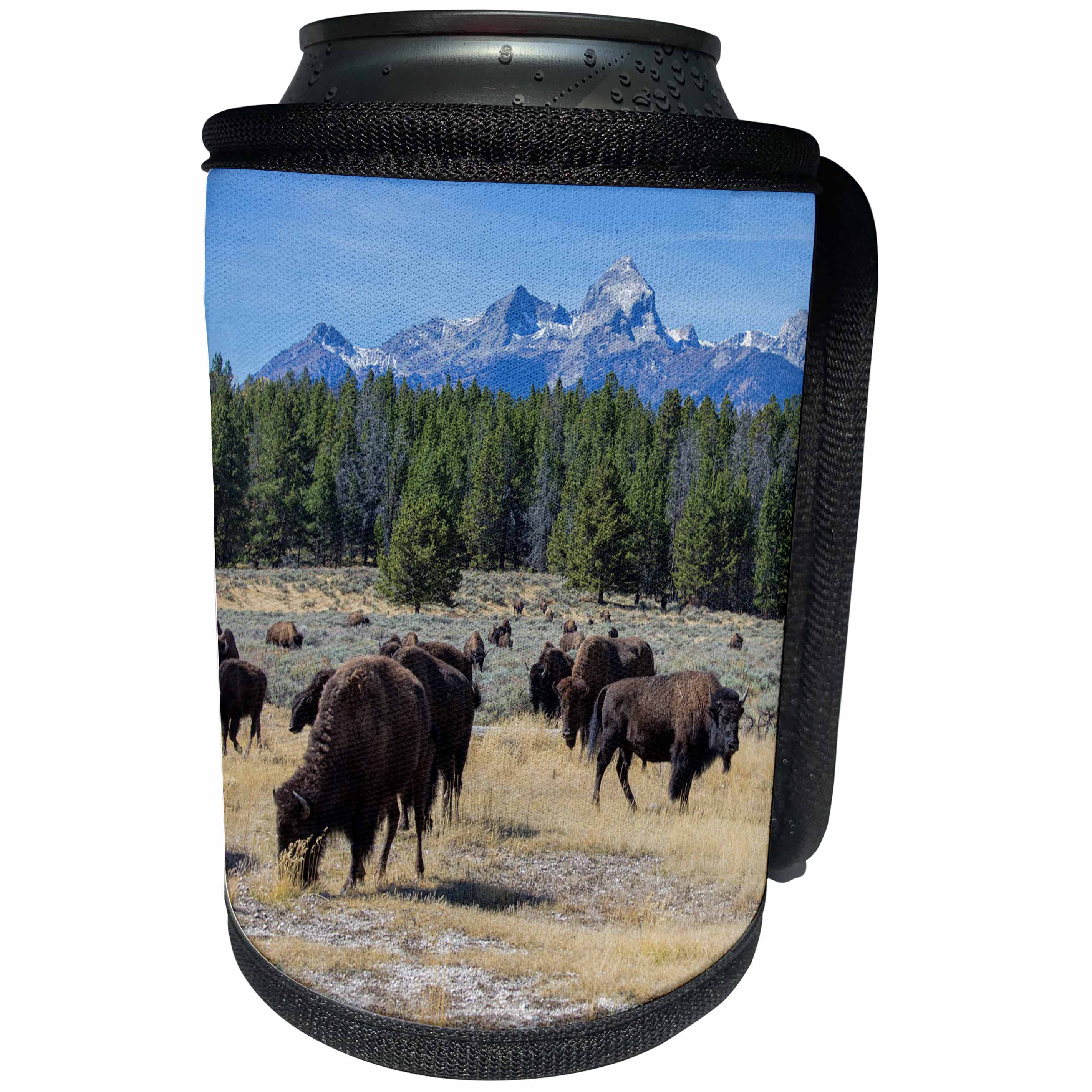 3dRose Danita Delimont - Bison - Bison, Bison bison, Grand Teton National Park, Wyoming - Can Cooler Bottle Wrap (cc_279850)