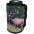 3dRose Danita Delimont - Elk - Male elk with impressive antlers. Yellowstone National Park. Wyoming. - Can Cooler Bottle Wrap (cc_279852)