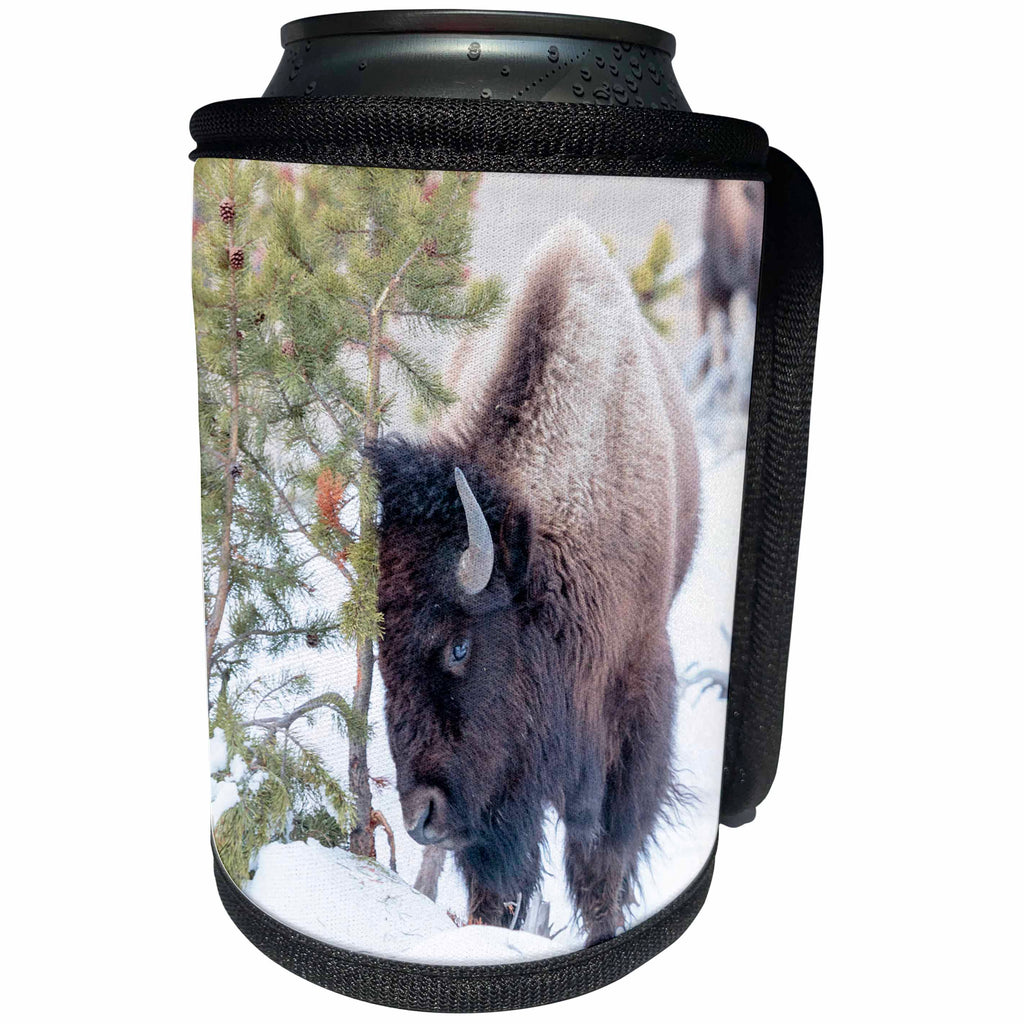 3dRose Danita Delimont - Bison - Buffalo in snow. Yellowstone National Park. Wyoming. - Can Cooler Bottle Wrap (cc_279854)