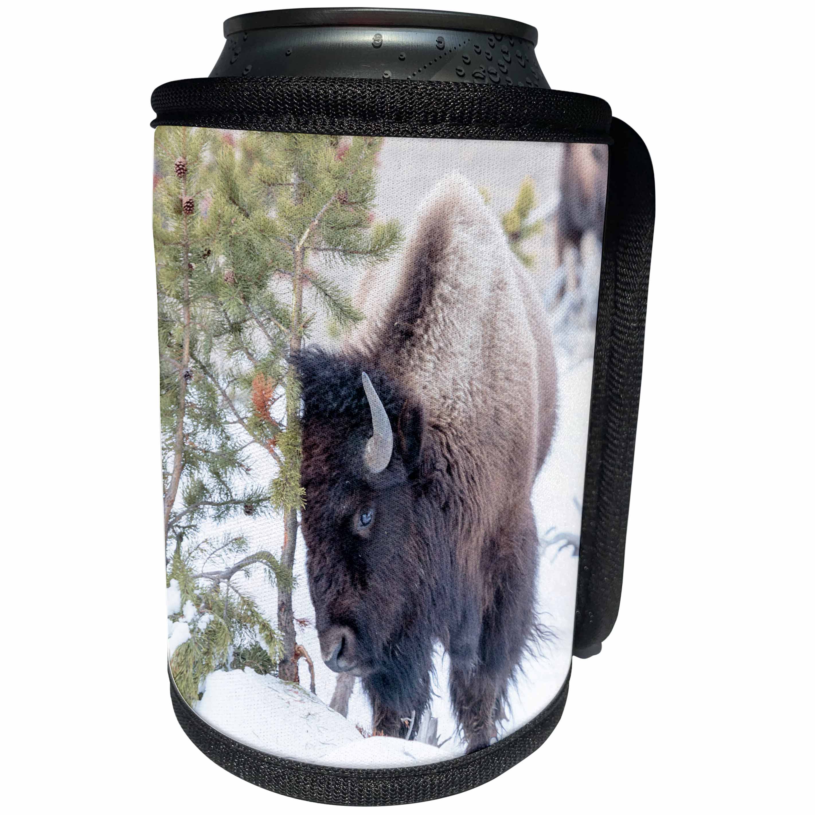 3dRose Danita Delimont - Bison - Buffalo in snow. Yellowstone National Park. Wyoming. - Can Cooler Bottle Wrap (cc_279854)