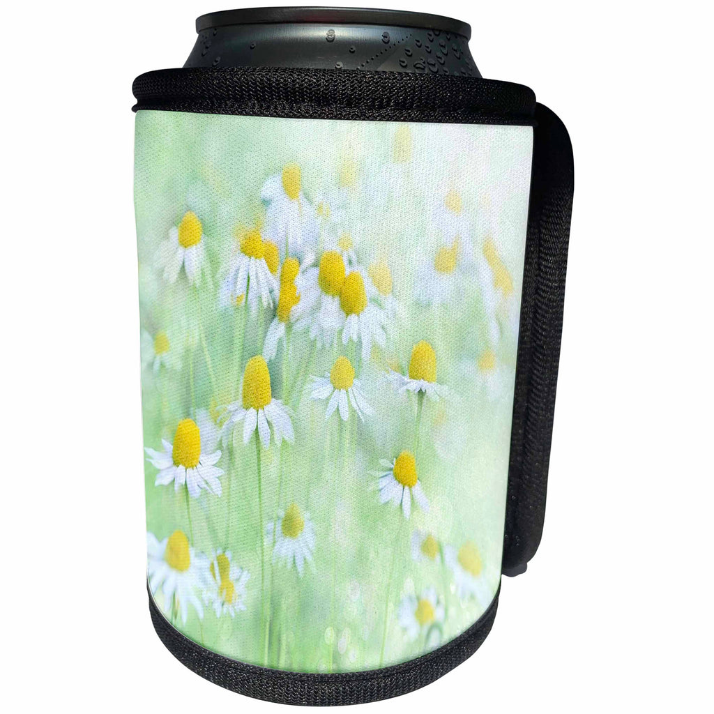 3dRose Spring Flowers - Image of Close Up Of Daisies In the Meadow - Can Cooler Bottle Wrap (cc_280004)