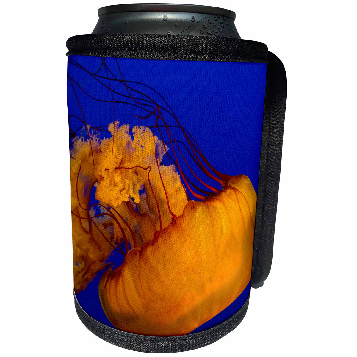 3dRose Elysium Photography - Animals - Pacific Sea Nettle Jellyfish, British Columbia - Can Cooler Bottle Wrap (cc_280150)
