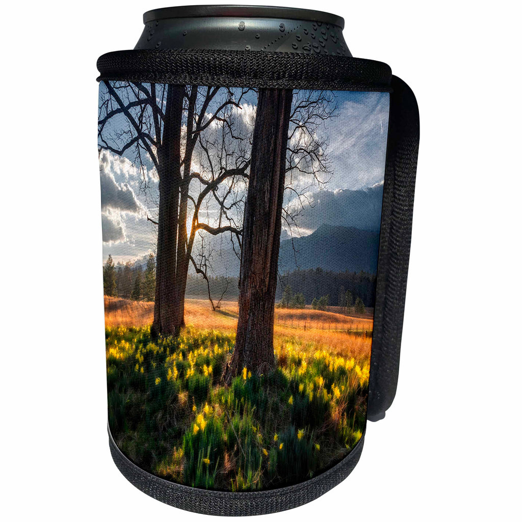 3dRose Mike Swindle Photography - Nature - Wildflowers in the morning sun - Can Cooler Bottle Wrap (cc_280202)