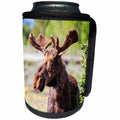 3dRose Mike Swindle Photography - Animals - Moose looking - Can Cooler Bottle Wrap (cc_280209)