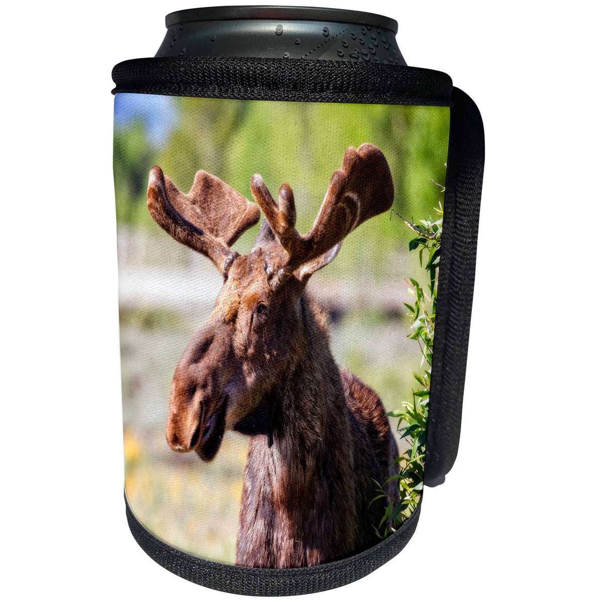 3dRose Mike Swindle Photography - Animals - Moose looking - Can Cooler Bottle Wrap (cc_280209)