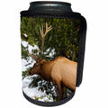 3dRose Mike Swindle Photography - Animals - Elk eating grass - Can Cooler Bottle Wrap (cc_280210)
