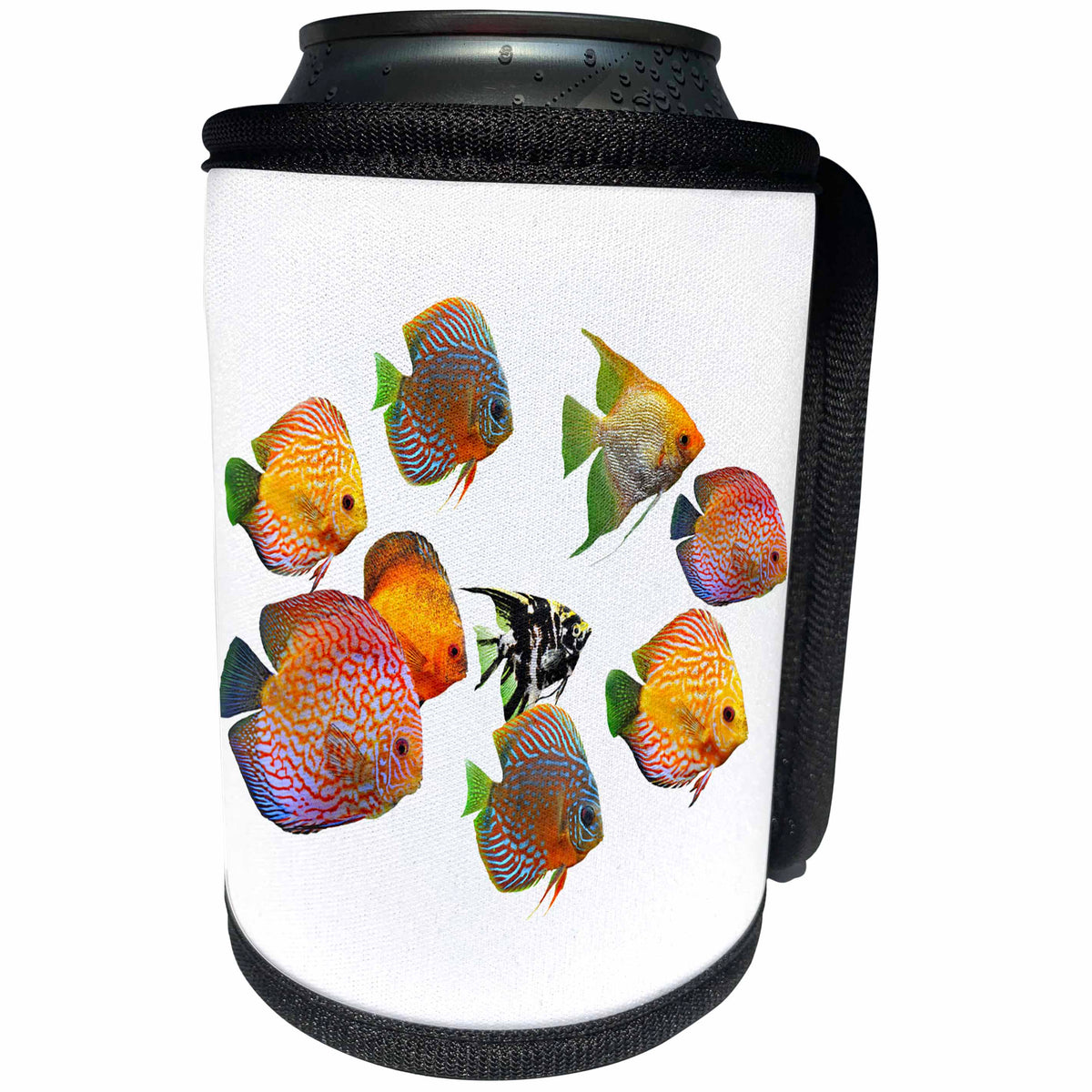 3dRose Sven Herkenrath Animal - A Swarm Colorful Discus Fishes on Empty White Background - Can Cooler Bottle Wrap (cc_280387)
