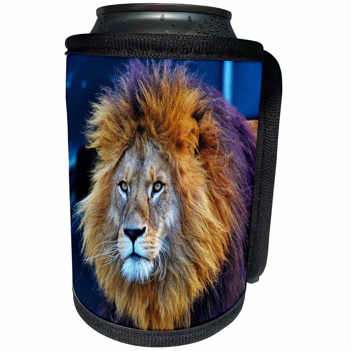 3dRose Sven Herkenrath Animal - Majestic Lion With a Determined Look Animal World - Can Cooler Bottle Wrap (cc_280419)