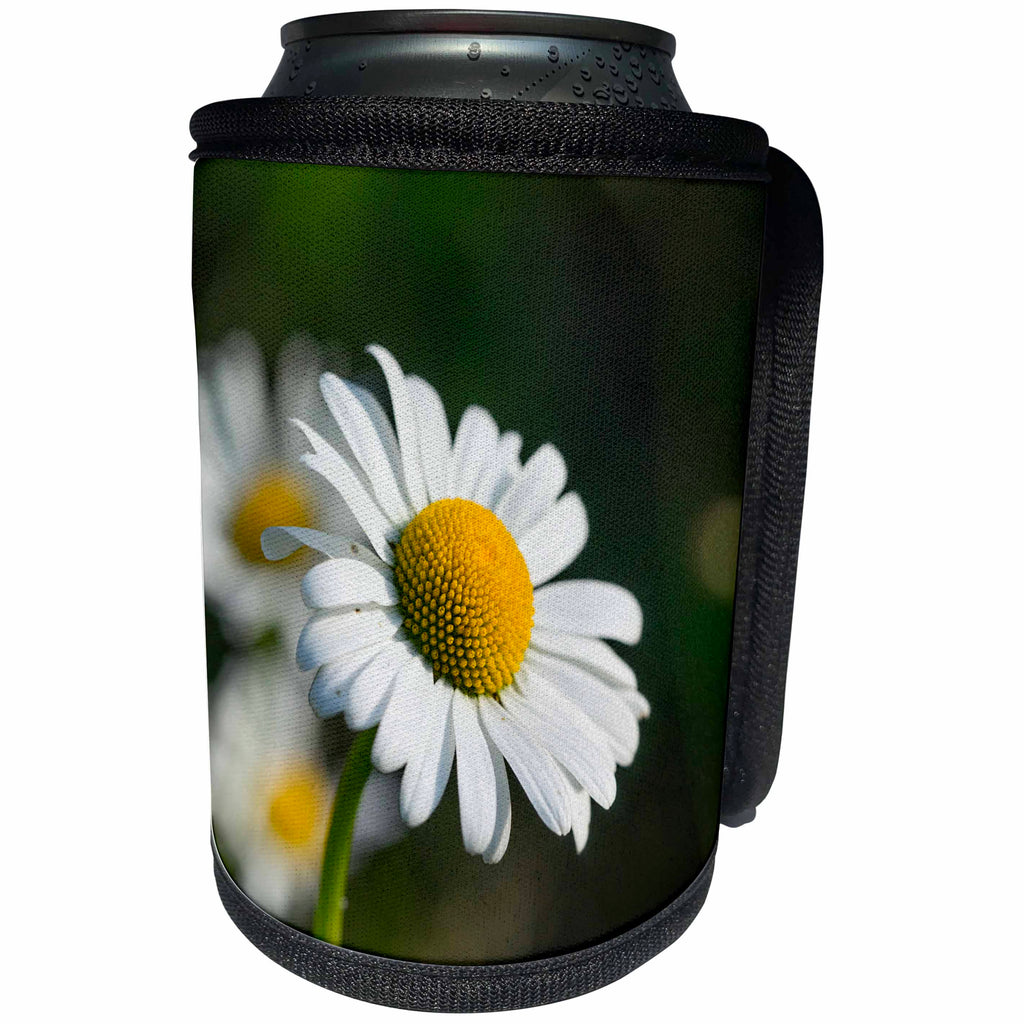3dRose Sven Herkenrath Nature - Close up of a Cute Daisy Flower on a Field - Can Cooler Bottle Wrap (cc_280420)