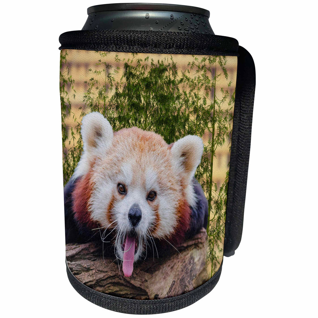 3dRose Sven Herkenrath Animal - An Cute and Fluffy Red Panda Sticking Out Its Tongue - Can Cooler Bottle Wrap (cc_280423)