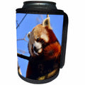 3dRose Sven Herkenrath Animal - An Cute and Fluffy Red Panda Sitting in a Tree - Can Cooler Bottle Wrap (cc_280424)