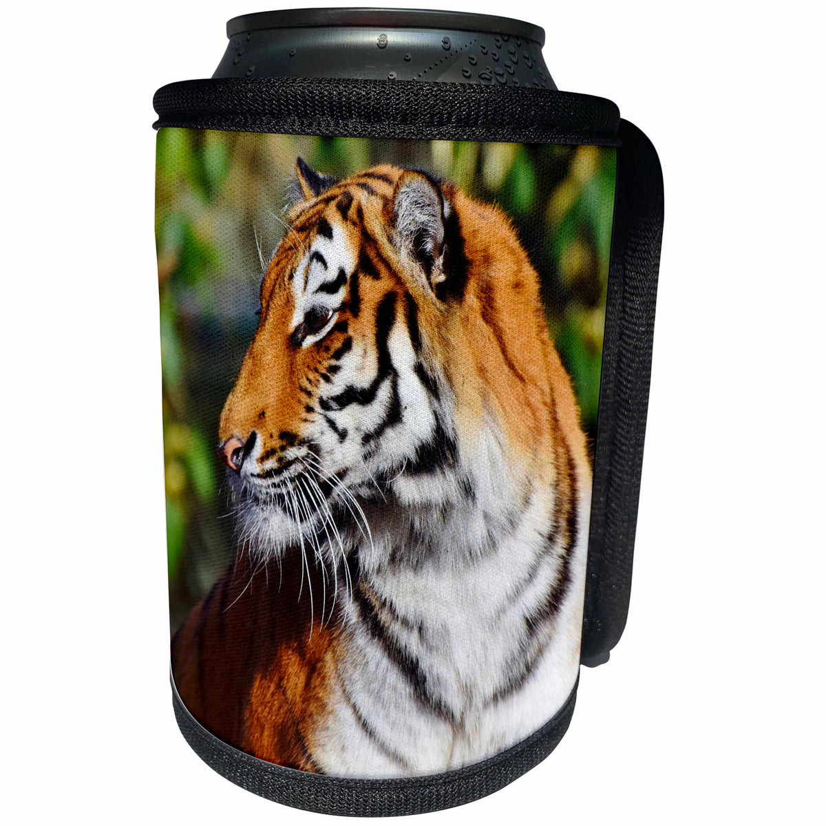 3dRose Sven Herkenrath Animal - Photograph of an Elegant Tiger Wildlife Photography - Can Cooler Bottle Wrap (cc_280437)
