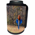3dRose Roni Chastain Photography - Pumpkin Head - Can Cooler Bottle Wrap (cc_280456)