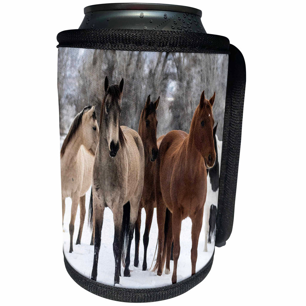 3dRose Roni Chastain Photography - Group of horses - Can Cooler Bottle Wrap (cc_280468)