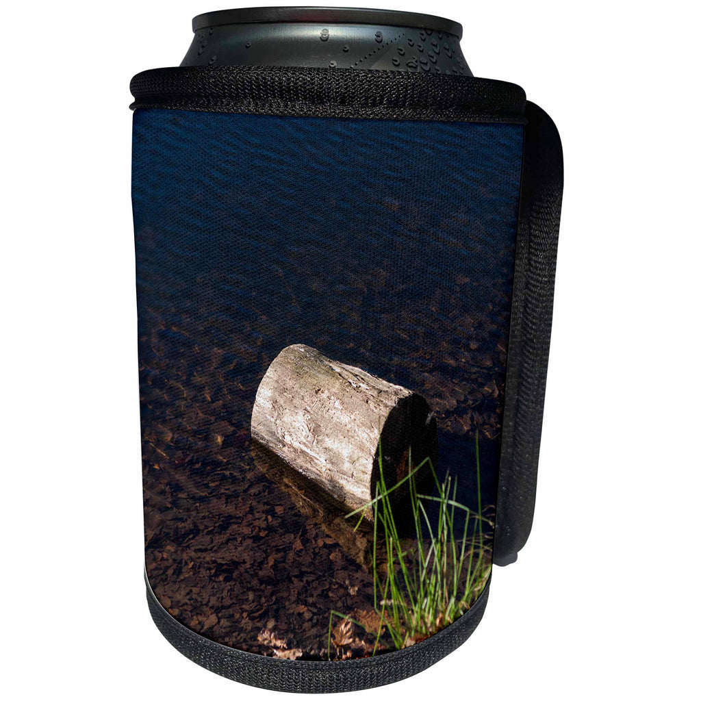3dRose Alexis Photography - Seasons Autumn - Sunlit tree stump in a clear water. Autumn season - Can Cooler Bottle Wrap (cc_280792)