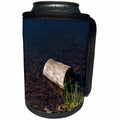 3dRose Alexis Photography - Seasons Autumn - Sunlit tree stump in a clear water. Autumn season - Can Cooler Bottle Wrap (cc_280792)