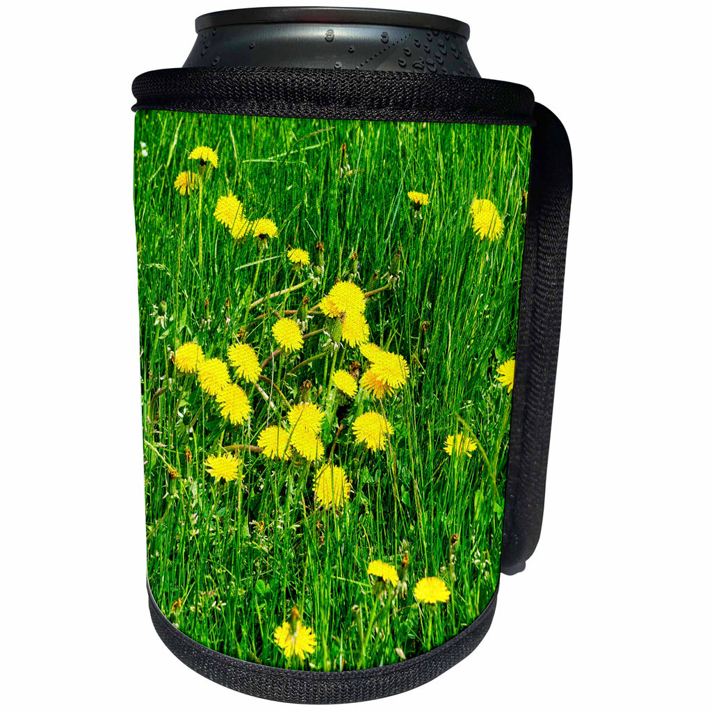 3dRose Alexis Photography - Flowers Dandelion - Yellow dandelion flowers in fresh green grass. Spring season - Can Cooler Bottle Wrap (cc_281233)