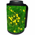 3dRose Alexis Photography - Flowers Dandelion - Yellow dandelion flowers in fresh green grass. Spring season - Can Cooler Bottle Wrap (cc_281233)