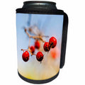 3dRose Alexis Photography - Seasons Autumn - Four red hawthorn berries. Smooth yellow and blue background - Can Cooler Bottle Wrap (cc_281291)