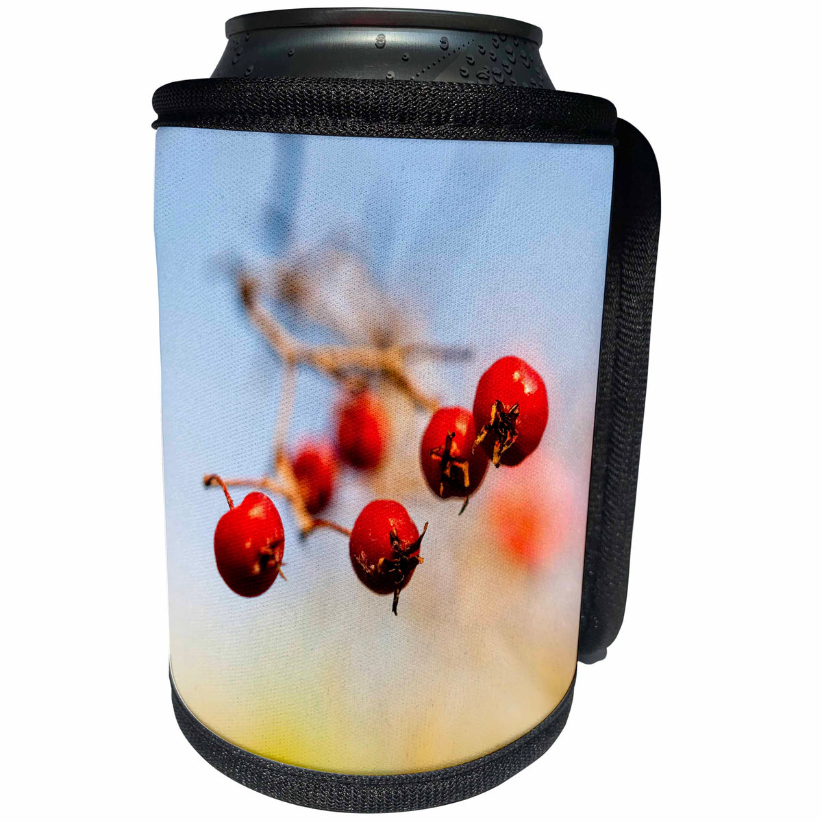 3dRose Alexis Photography - Seasons Autumn - Four red hawthorn berries. Smooth yellow and blue background - Can Cooler Bottle Wrap (cc_281291)
