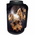 3dRose Russell Foote Photography-Dogs - Yorkshire Terrier missing his human - Can Cooler Bottle Wrap (cc_281489)