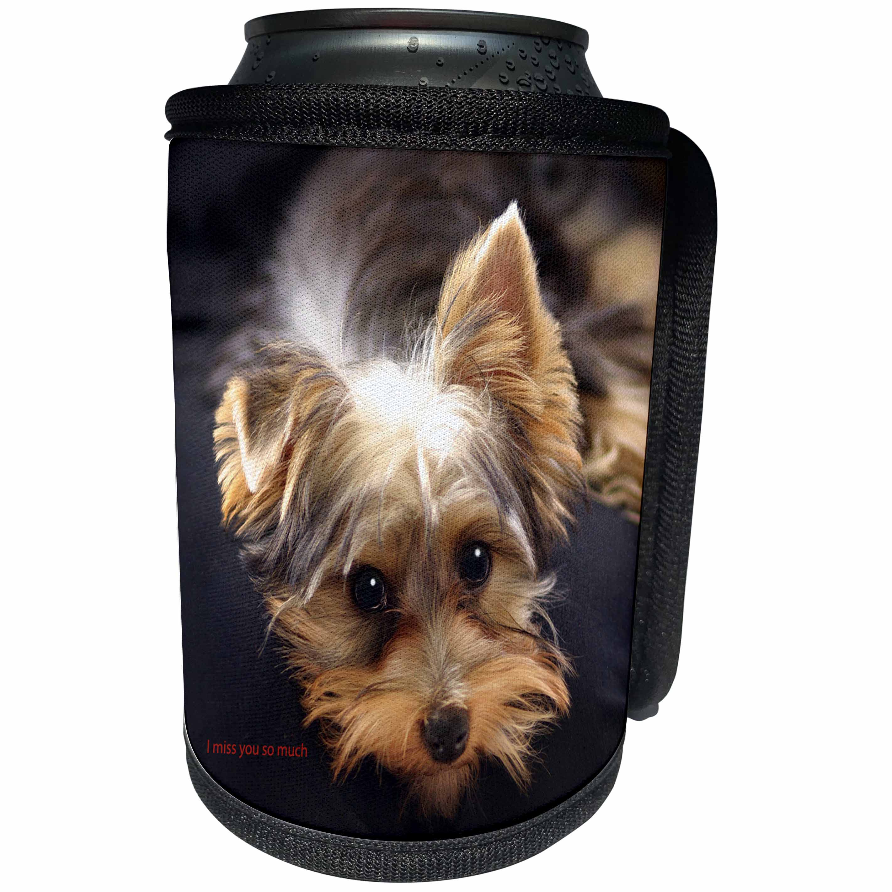 3dRose Russell Foote Photography-Dogs - Yorkshire Terrier missing his human - Can Cooler Bottle Wrap (cc_281489)