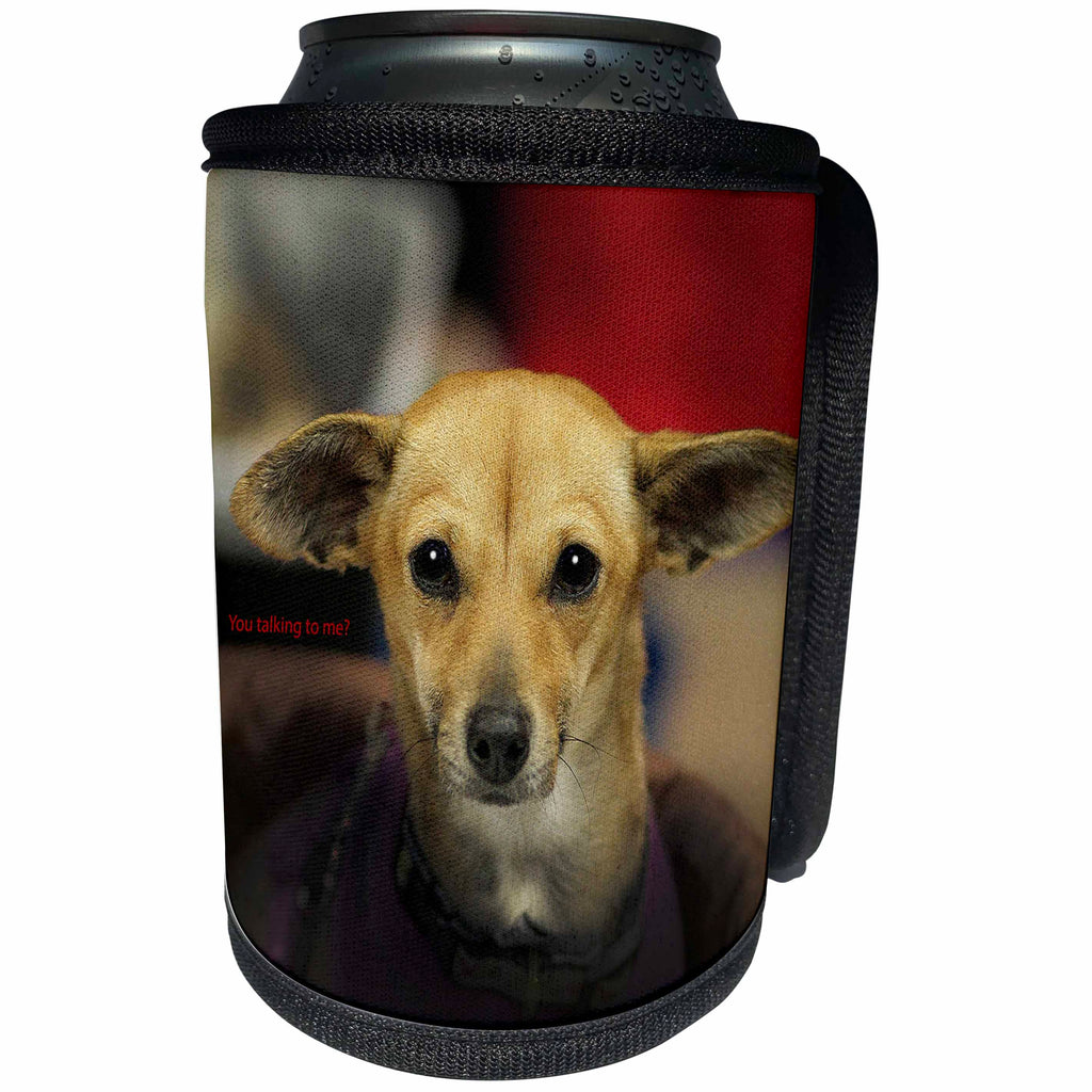 3dRose Russell Foote Photography-Dogs - Chihuahua with an attitude - Can Cooler Bottle Wrap (cc_281490)