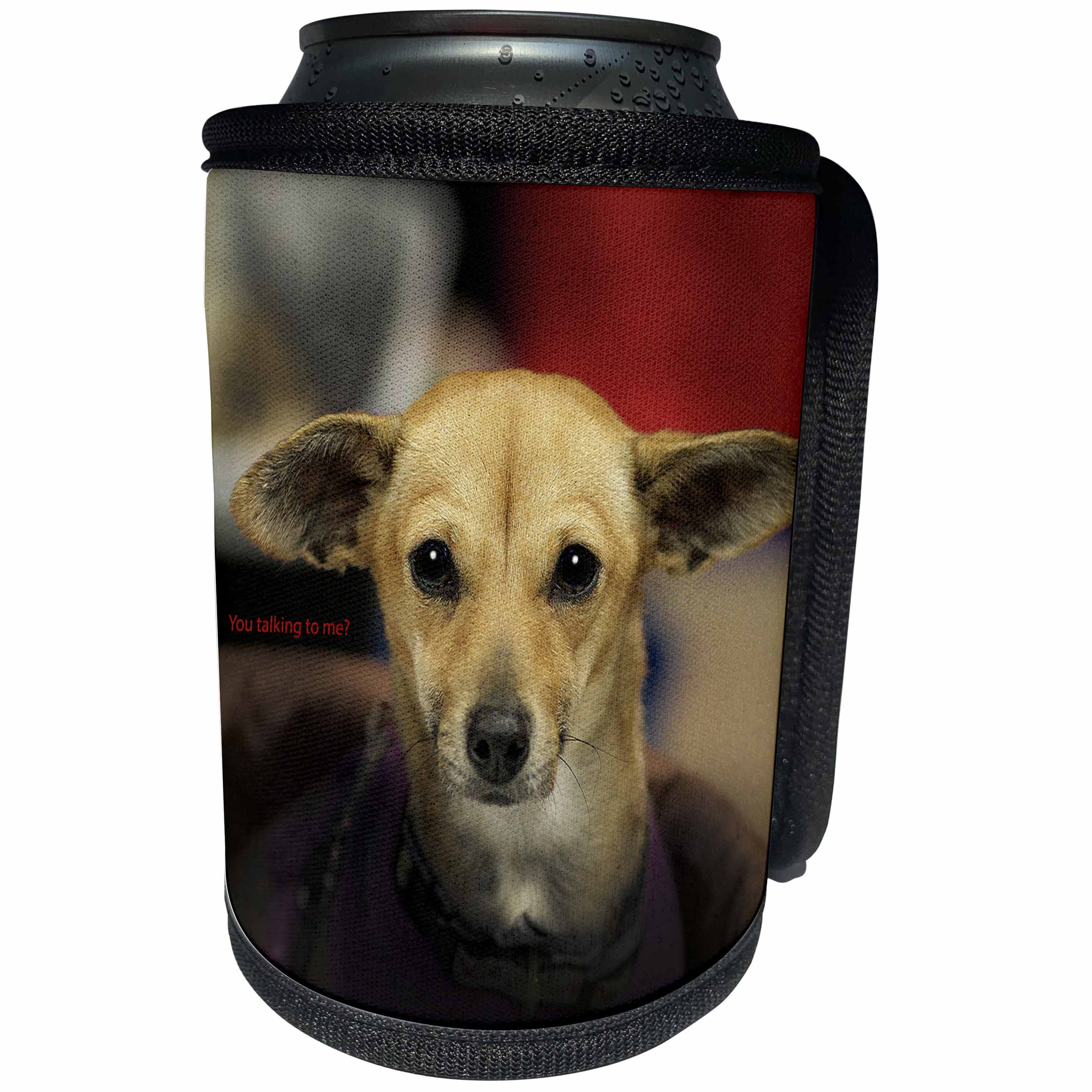 3dRose Russell Foote Photography-Dogs - Chihuahua with an attitude - Can Cooler Bottle Wrap (cc_281490)