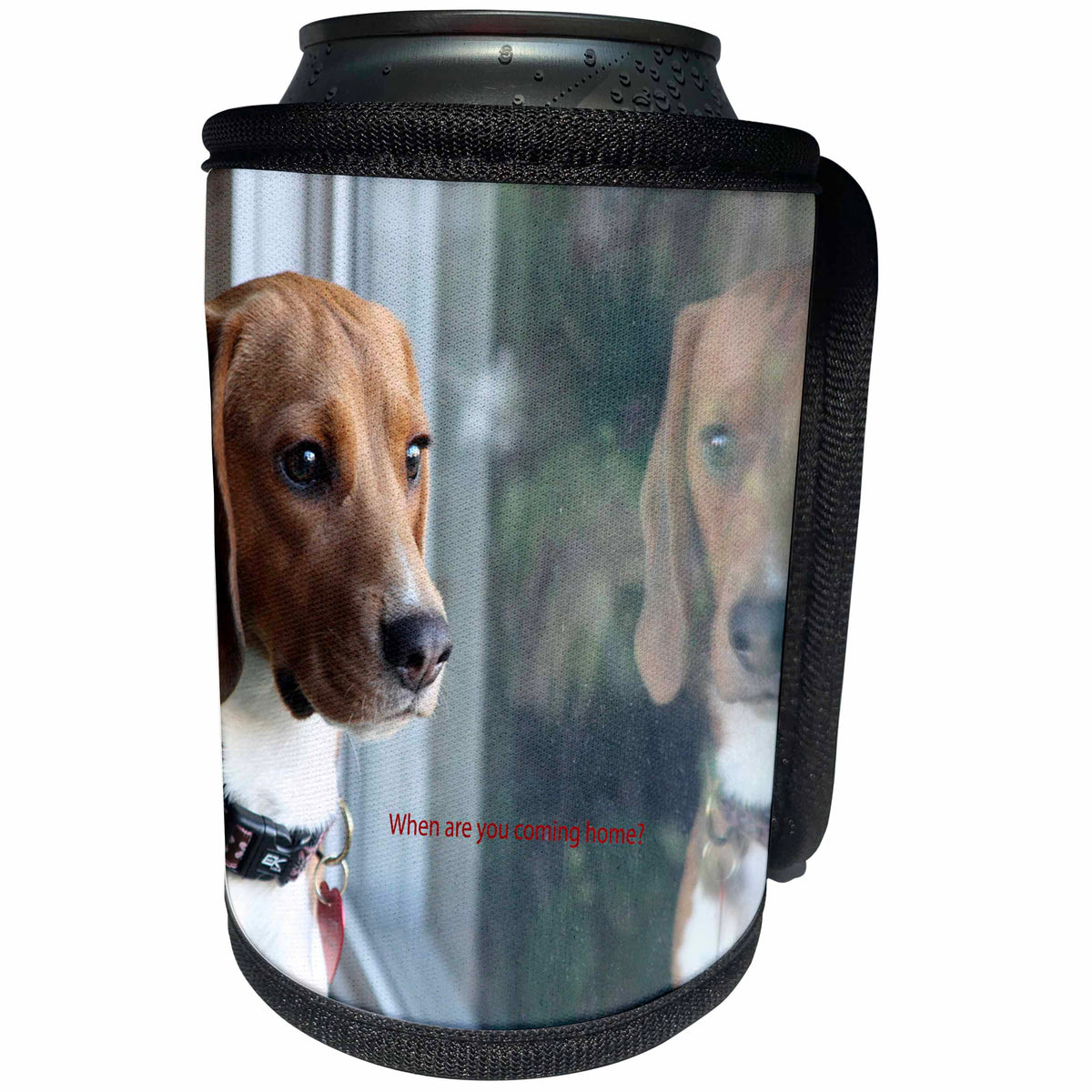 3dRose Russell Foote Photography-Dogs - Beagle looking out the window for his human - Can Cooler Bottle Wrap (cc_281492)
