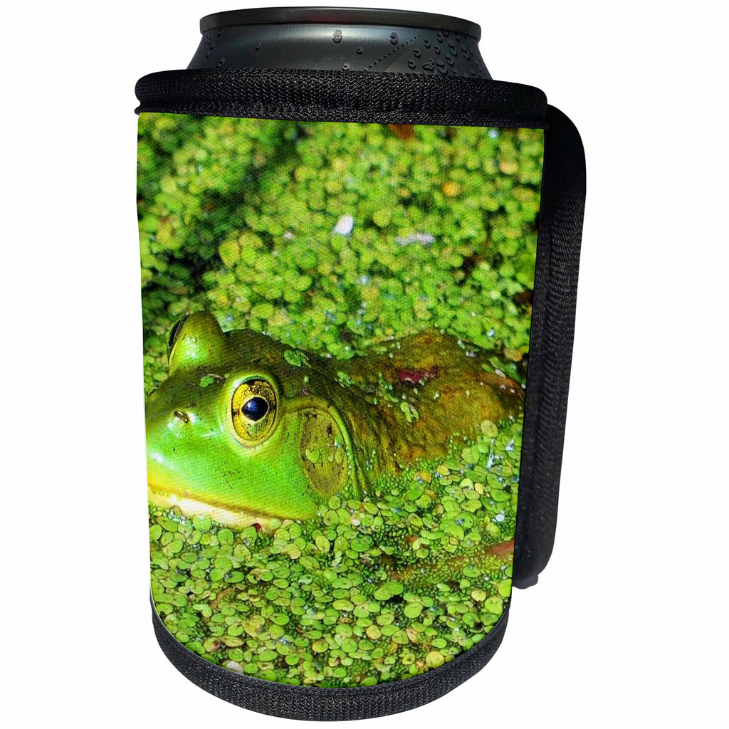 3dRose Dreamscapes by Leslie - Amphibians - Green Frog hiding in green pond - Can Cooler Bottle Wrap (cc_281520)