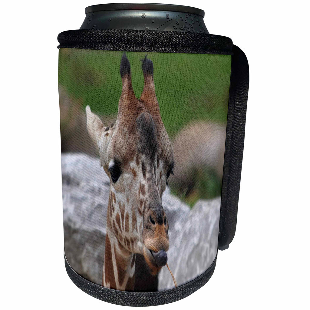 3dRose Dreamscapes by Leslie - Animals - Cute Baby Giraffe - Can Cooler Bottle Wrap (cc_281521)