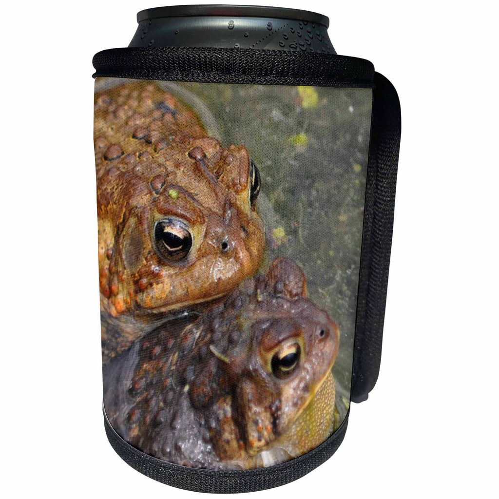 3dRose Dreamscapes by Leslie - Amphibians - Two toads in love - Can Cooler Bottle Wrap (cc_281524)