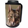 3dRose Taiche Photography - Cat Tabby Cat Outside - Can Cooler Bottle Wrap (cc_28164)
