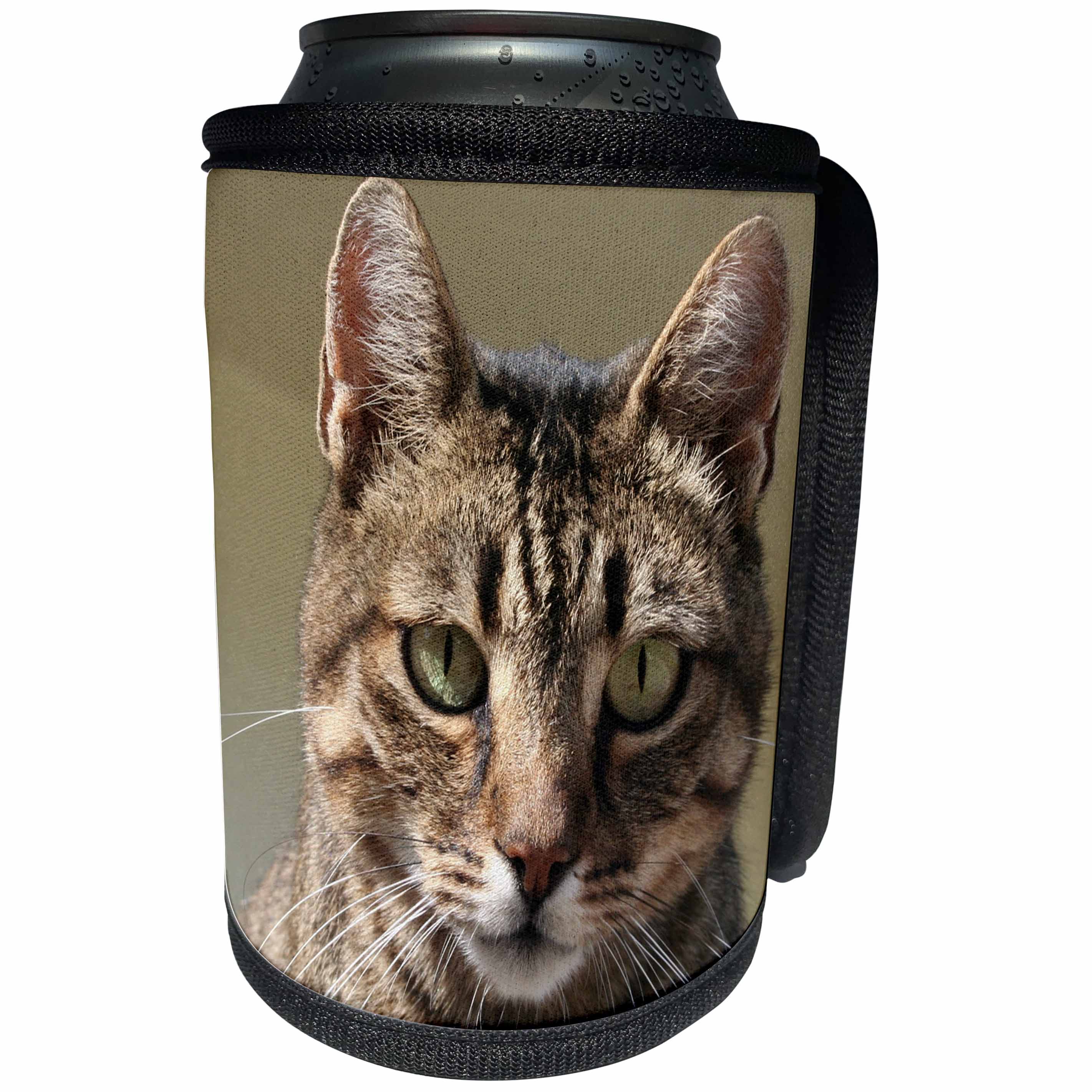 3dRose Taiche Photography - Cat Tabby Cat Outside - Can Cooler Bottle Wrap (cc_28164)