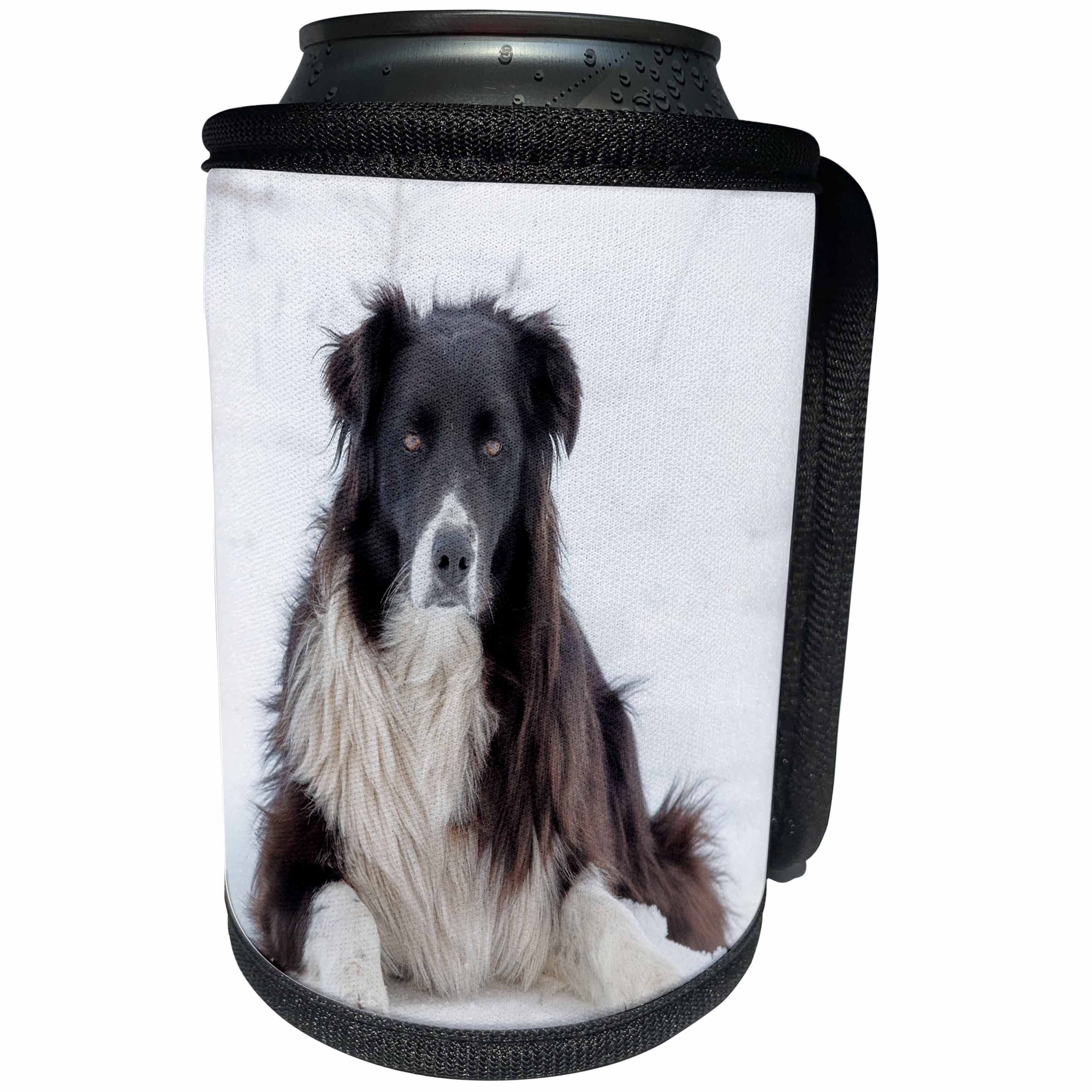 3dRose Roni Chastain Photography - Hanging in the snow - Can Cooler Bottle Wrap (cc_281718)