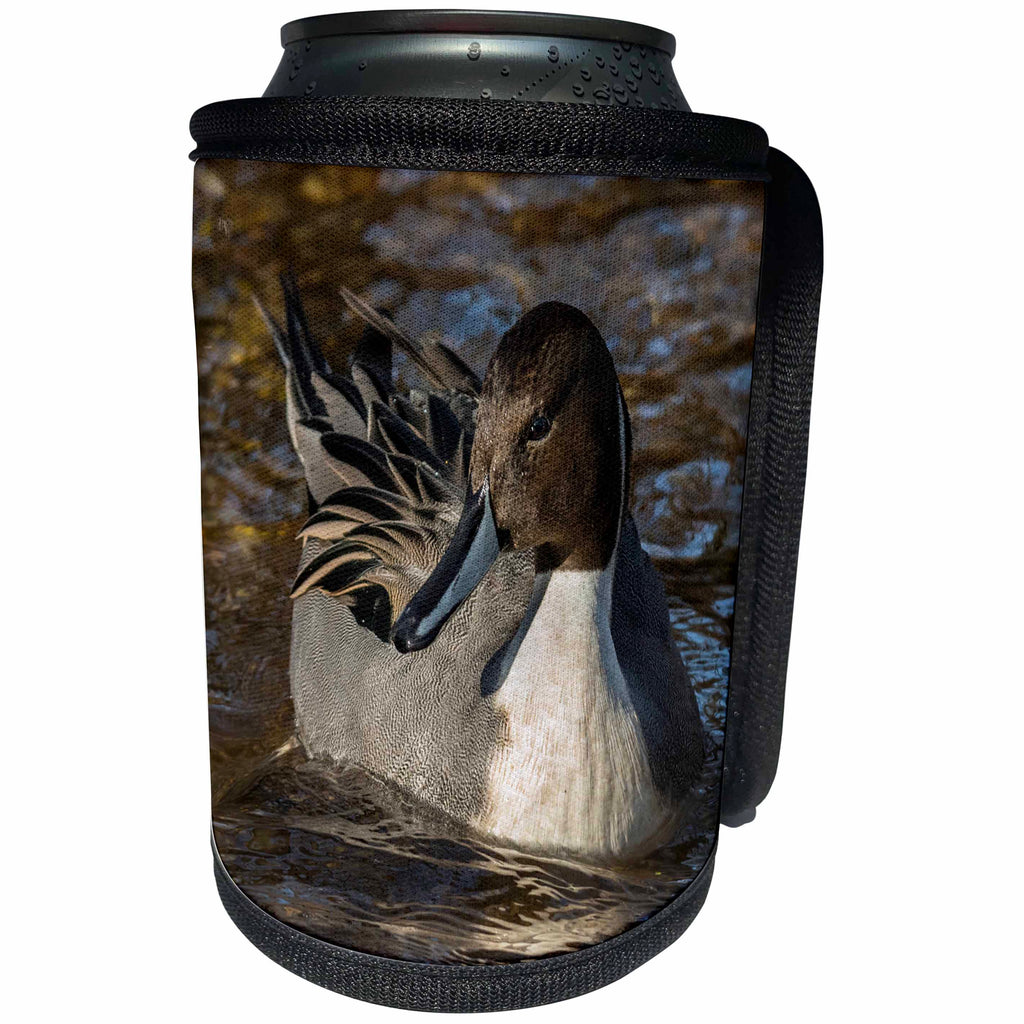 3dRose Roni Chastain Photography - Pintail Duck - Can Cooler Bottle Wrap (cc_281726)
