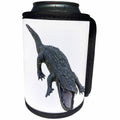 3dRose Boehm Graphics Animal - Alligator Attacking to the Front - Can Cooler Bottle Wrap (cc_282239)