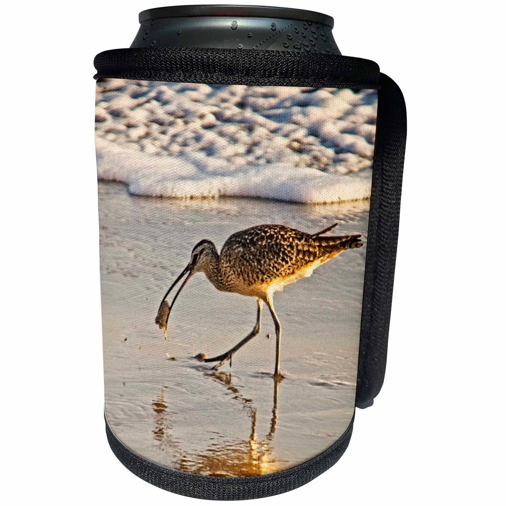 3dRose Boehm Photography Bird - Long Billed Curlew Wading Bird - Can Cooler Bottle Wrap (cc_282333)