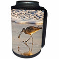 3dRose Boehm Photography Bird - Long Billed Curlew Wading Bird - Can Cooler Bottle Wrap (cc_282333)