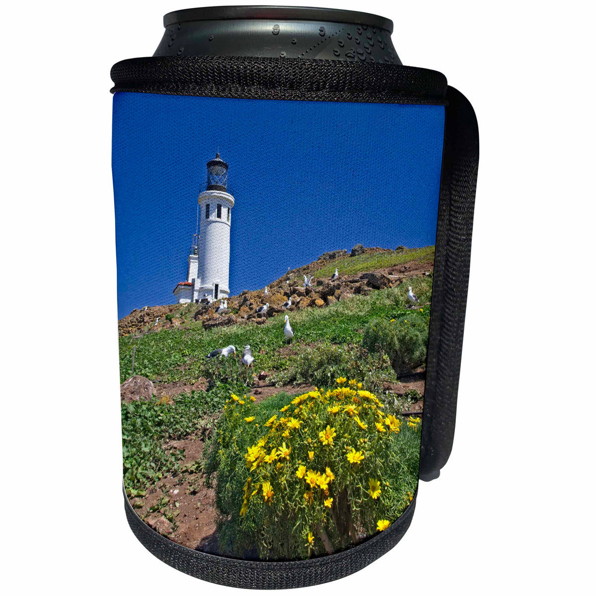 3dRose Boehm Photography Travel - Lighthouse on Anacapa Island - Can Cooler Bottle Wrap (cc_282339)