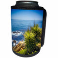 3dRose Boehm Photography Nature - Succulents above the Pacific Ocean - Can Cooler Bottle Wrap (cc_282357)