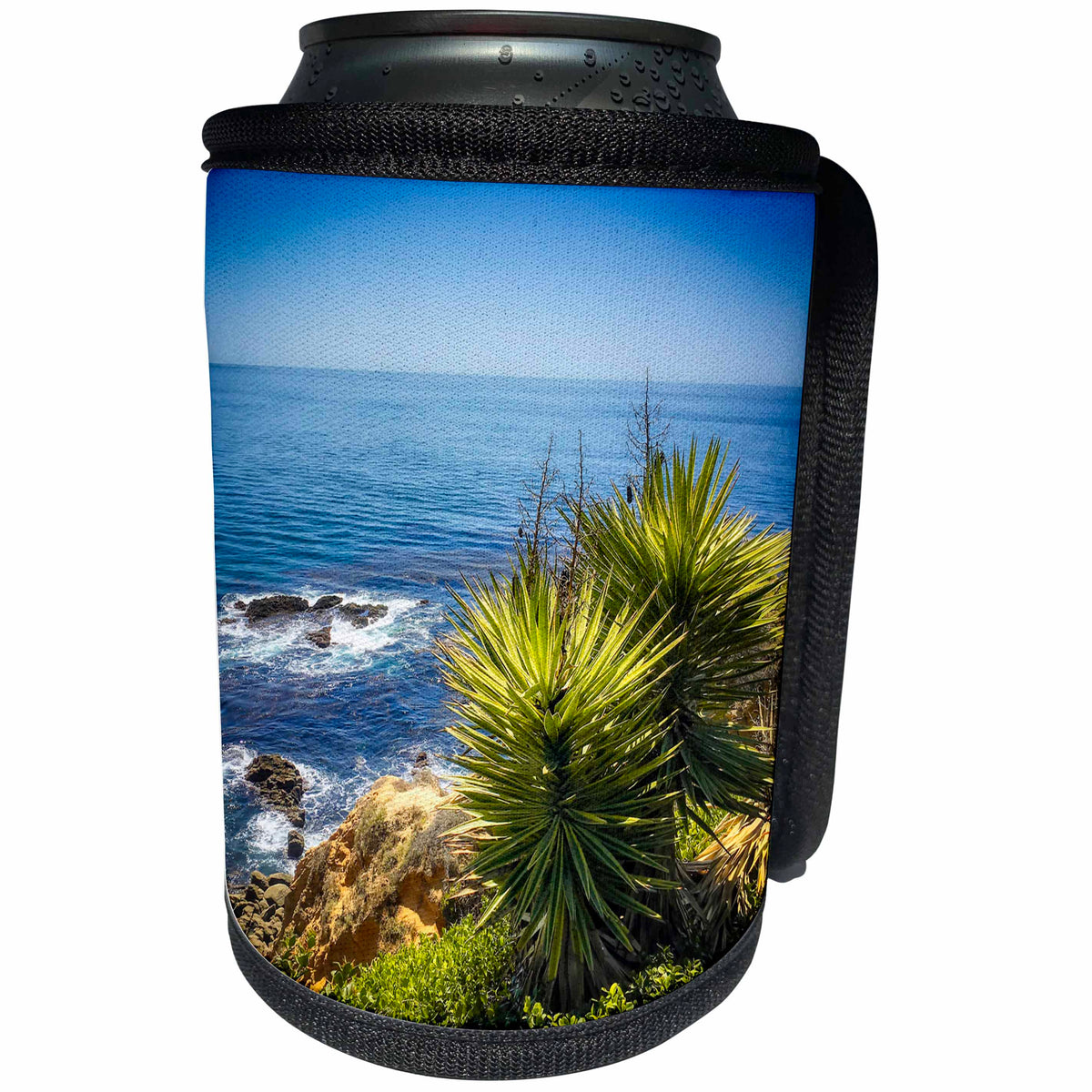3dRose Boehm Photography Nature - Succulents above the Pacific Ocean - Can Cooler Bottle Wrap (cc_282357)