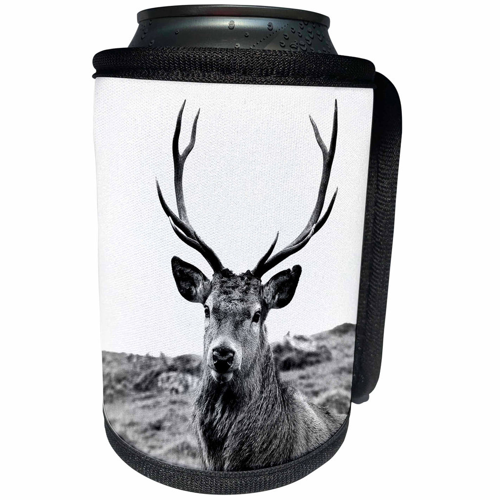 3dRose Made in the highlands photography, The regal Stag - European Red Stag photographed in the Highlands of Scotland - Can Cooler Bottle Wrap (cc_282421)