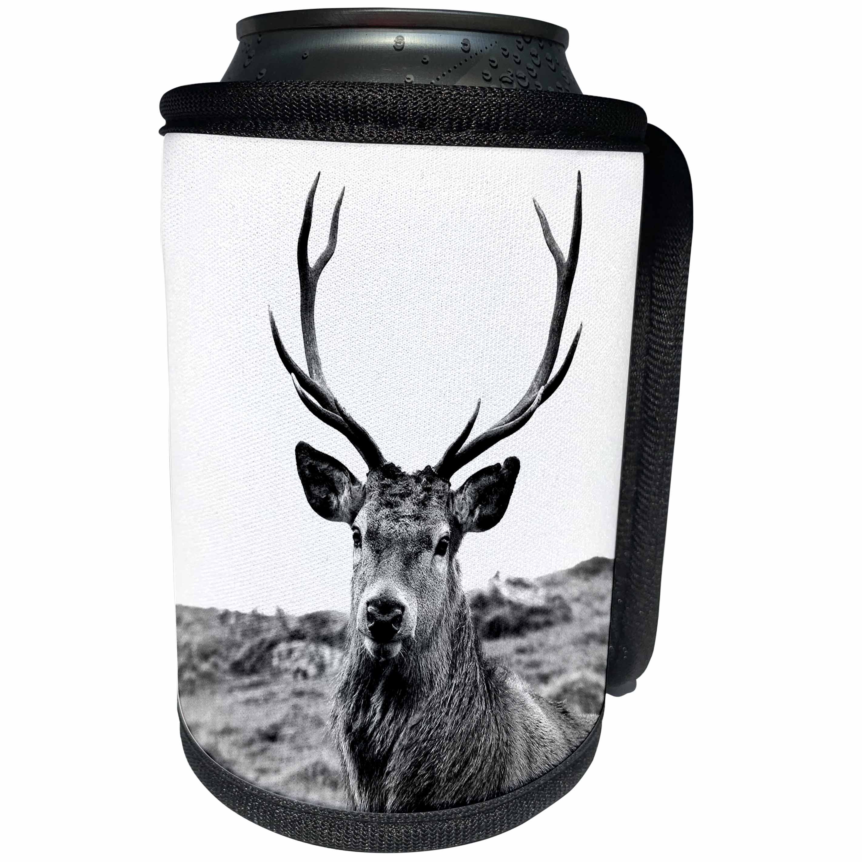 3dRose Made in the highlands photography, The regal Stag - European Red Stag photographed in the Highlands of Scotland - Can Cooler Bottle Wrap (cc_282421)