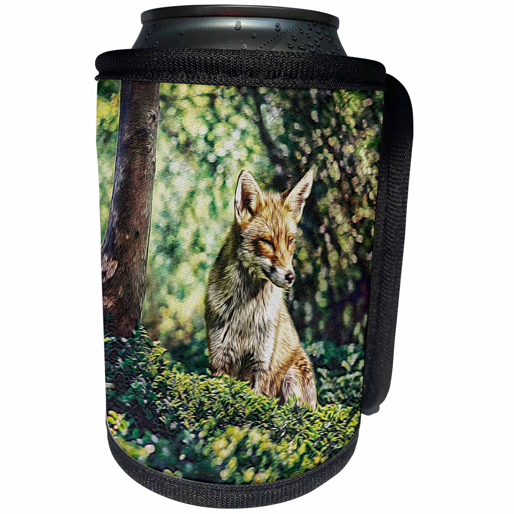 3dRose Andrea Haase Animals Illustration - Wildlife Fox Illustration - Can Cooler Bottle Wrap (cc_282464)
