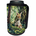 3dRose Andrea Haase Animals Illustration - Wildlife Fox Illustration - Can Cooler Bottle Wrap (cc_282464)
