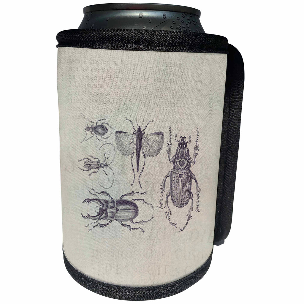 3dRose Andrea Haase Animals Illustration - Vintage Bugs And Beetles Illustration - Can Cooler Bottle Wrap (cc_282466)